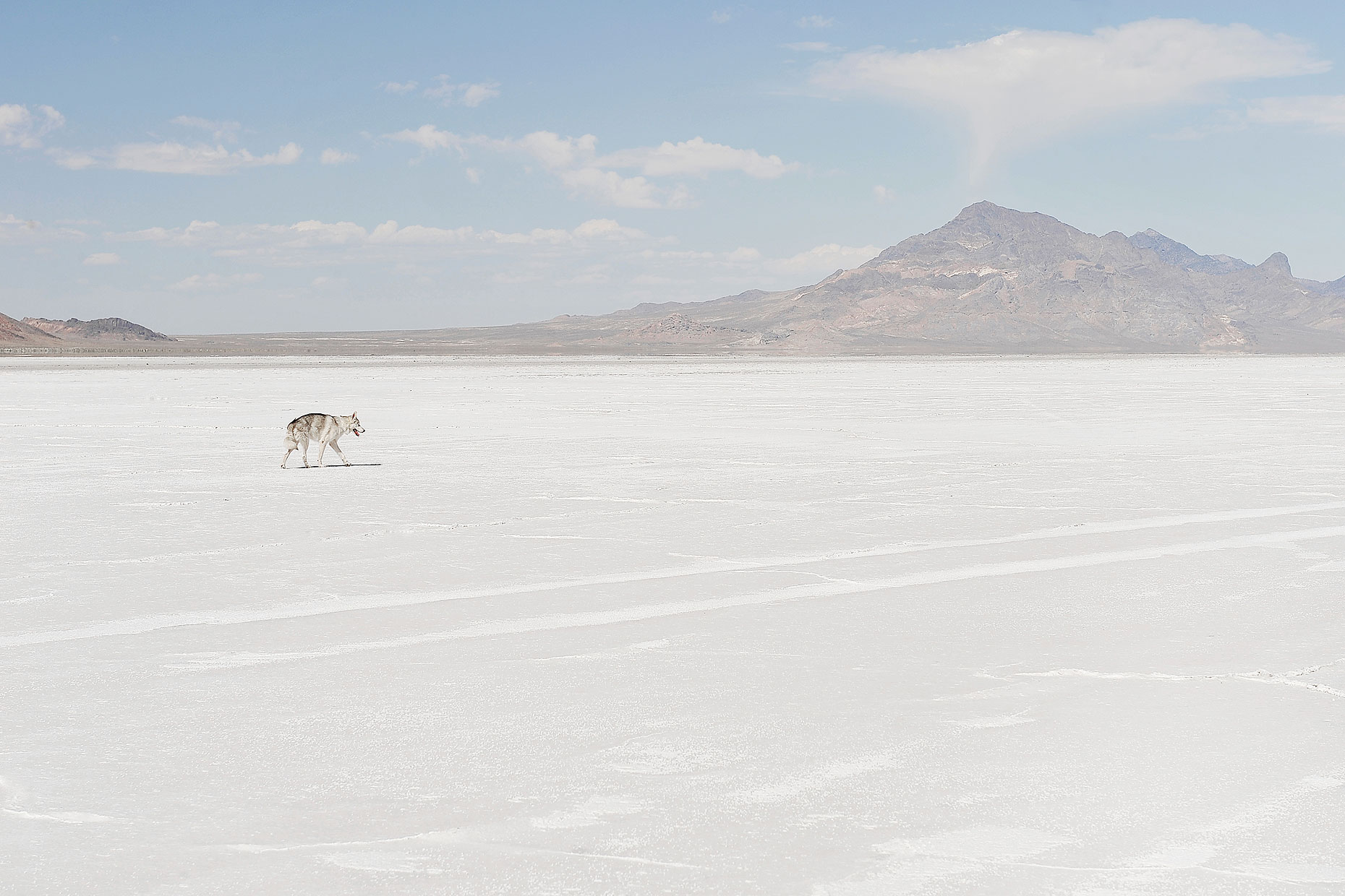 Apollo_Salt_Flats_Web