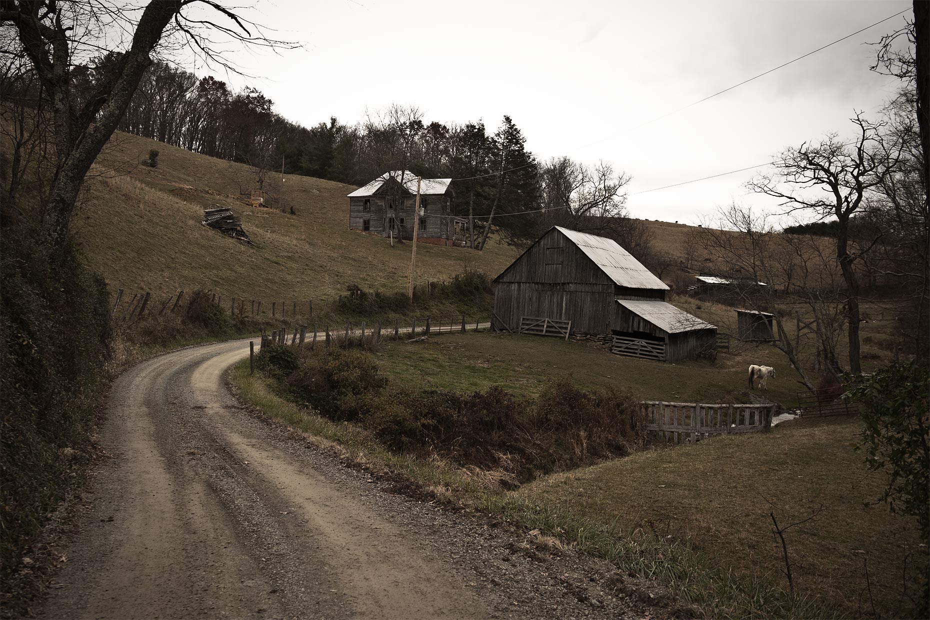 _PBP3787Horse_on_Farm_Web